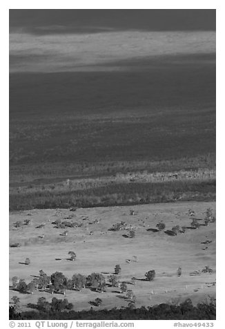 Alternance of vegetated and baren slopes on Mauna Loa. Hawaii Volcanoes National Park (black and white)