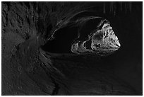 Thurston lava tube (Nahuku). Hawaii Volcanoes National Park, Hawaii, USA. (black and white)