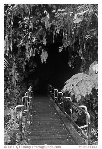 Boardwalk and entrance of Thurston lava tube. Hawaii Volcanoes National Park, Hawaii, USA.