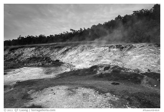 Sulphur deposits and vents (Haakulamanu). Hawaii Volcanoes National Park (black and white)