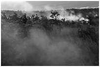 Steam vents. Hawaii Volcanoes National Park, Hawaii, USA. (black and white)