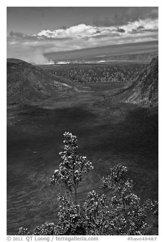 Kilauea Iki Crater, Halemaumau plume, and Mauma Loa. Hawaii Volcanoes National Park, Hawaii, USA.