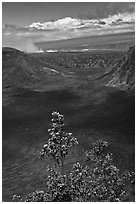 Kilauea Iki Crater, Halemaumau plume, and Mauma Loa. Hawaii Volcanoes National Park, Hawaii, USA. (black and white)