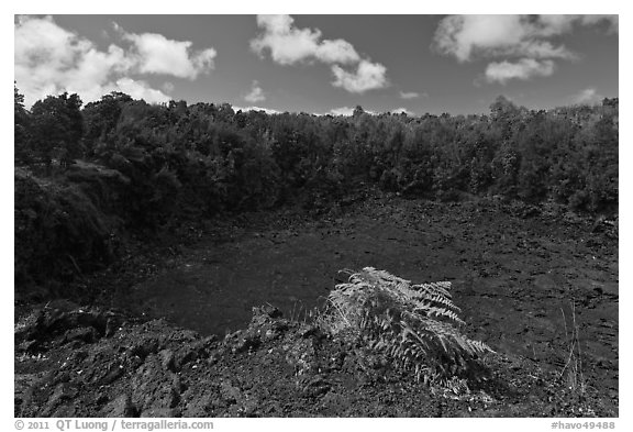 Lua Manu crater. Hawaii Volcanoes National Park, Hawaii, USA.