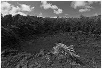 Lua Manu crater. Hawaii Volcanoes National Park, Hawaii, USA. (black and white)