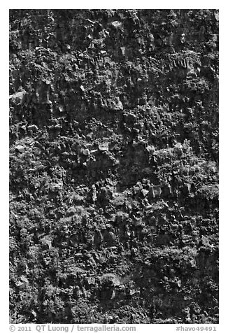 Crater vertical walls. Hawaii Volcanoes National Park (black and white)