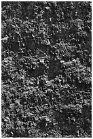 Crater vertical walls. Hawaii Volcanoes National Park ( black and white)