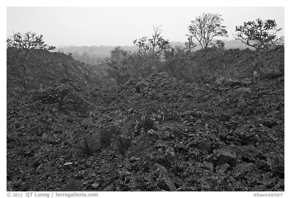 Ke Amoku lava flow. Hawaii Volcanoes National Park, Hawaii, USA.