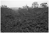 Ke Amoku lava flow. Hawaii Volcanoes National Park ( black and white)