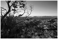 Sunrise from Mauna Loa overlook. Hawaii Volcanoes National Park ( black and white)