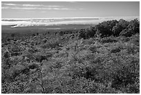 Mauna Loa forested slope and Halemaumau summit. Hawaii Volcanoes National Park ( black and white)