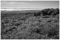 Mauna Loa forested slope and Halemaumau summit. Hawaii Volcanoes National Park ( black and white)