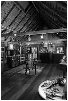 Volcano art center gallery. Hawaii Volcanoes National Park ( black and white)