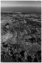 Ferns and Ohelo on lava flow above Pacific. Hawaii Volcanoes National Park ( black and white)