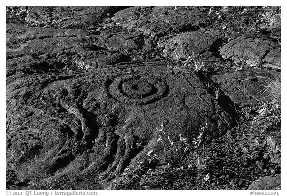Petroglyph with motif of concentric circles. Hawaii Volcanoes National Park (black and white)