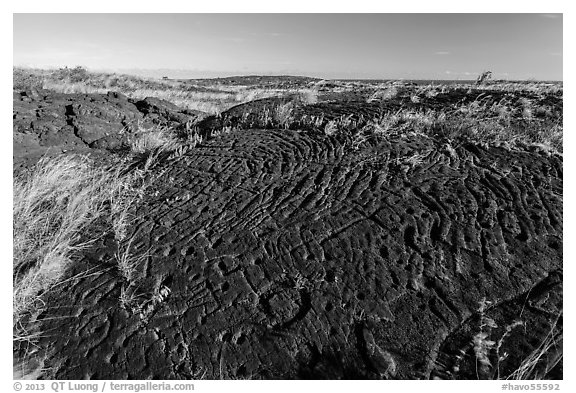 Puu Loa petroglyphs. Hawaii Volcanoes National Park, Hawaii, USA.