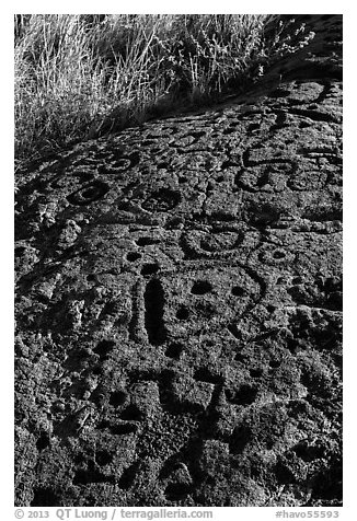 Hardened lava with panel of pecked images. Hawaii Volcanoes National Park, Hawaii, USA.