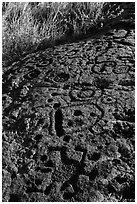 Hardened lava with panel of pecked images. Hawaii Volcanoes National Park, Hawaii, USA. (black and white)