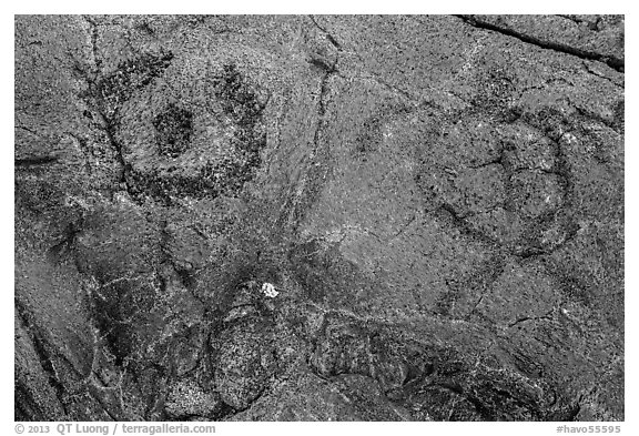 Petroglyph detail with human figure and sea turtle. Hawaii Volcanoes National Park (black and white)