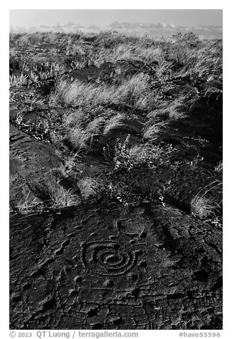 Archaeological site of Puu Loa. Hawaii Volcanoes National Park (black and white)