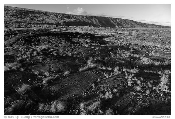 Puu Loa petroglyph field and pali. Hawaii Volcanoes National Park (black and white)