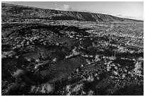 Puu Loa petroglyph field and pali. Hawaii Volcanoes National Park ( black and white)