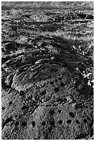 Petroglyph with motif of cupules and holes. Hawaii Volcanoes National Park, Hawaii, USA. (black and white)