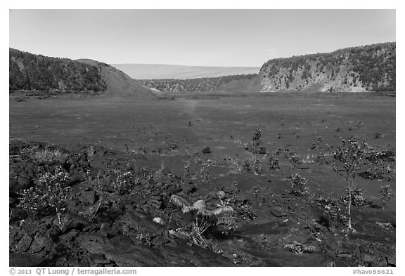 Kīlauea Iki crater floor. Hawaii Volcanoes National Park (black and white)