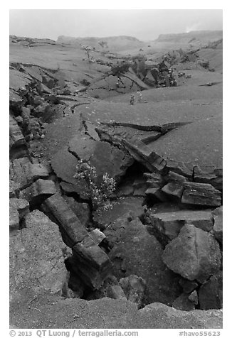 Fractured Kilauea Iki crater floor. Hawaii Volcanoes National Park (black and white)