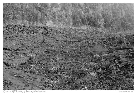 Kilauea Iki Crater floor and walls. Hawaii Volcanoes National Park (black and white)