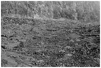 Kilauea Iki Crater floor and walls. Hawaii Volcanoes National Park, Hawaii, USA. (black and white)