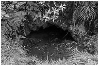 Entrance of lava tube, Kipuka Puaulu. Hawaii Volcanoes National Park, Hawaii, USA. (black and white)