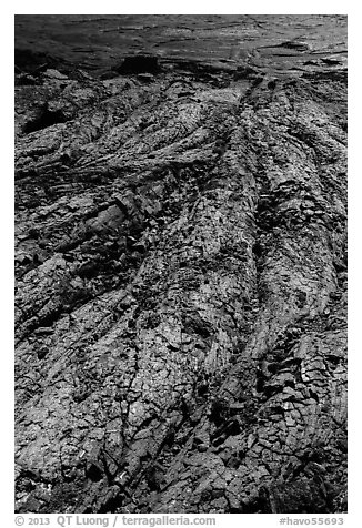 Close-up of green Olivine-rich lava flow. Hawaii Volcanoes National Park (black and white)