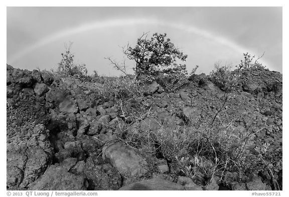 Srubs, lava, and rainbow, Kau desert. Hawaii Volcanoes National Park, Hawaii, USA.