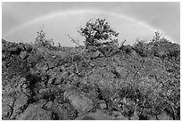 Srubs, lava, and rainbow, Kau desert. Hawaii Volcanoes National Park ( black and white)