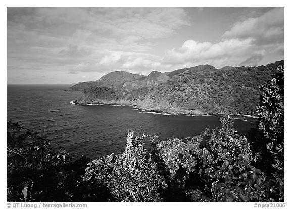 Afono bay, late afternoon, Tutuila Island. National Park of American Samoa (black and white)