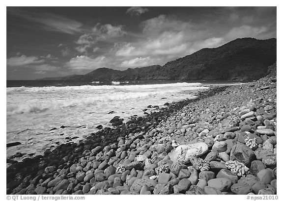 Beached coral heads and Vatia Bay, mid-day, Tutuila Island. National Park of American Samoa (black and white)