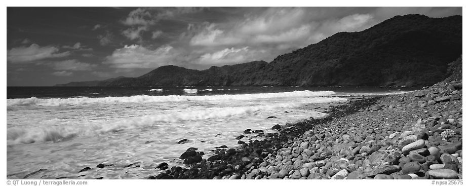 Beach with coral, Tutuila Island. National Park of American Samoa (black and white)