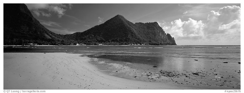 Sandy beach, Tutuila Island. National Park of American Samoa (black and white)