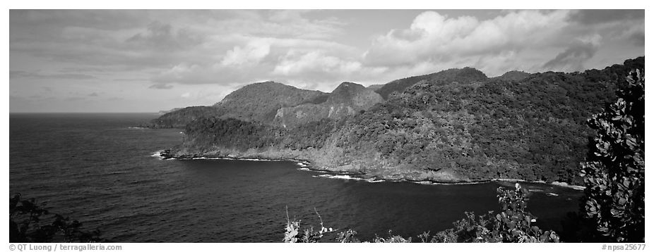 Verdant coasline with tropical vegetation, Tutuila Island. National Park of American Samoa (black and white)