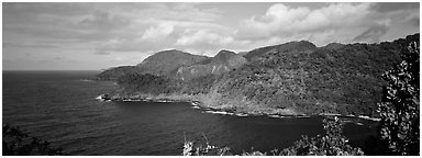 Verdant coasline with tropical vegetation, Tutuila Island. National Park of American Samoa (Panoramic black and white)