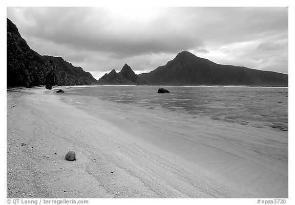 Fallen coconut on South Beach, Ofu Island. National Park of American Samoa (black and white)