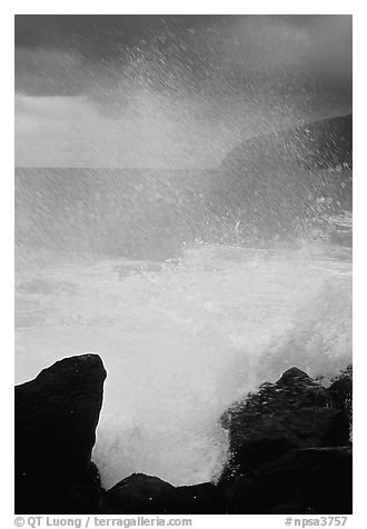 Crashing wave, Siu Point, Tau Island. National Park of American Samoa (black and white)