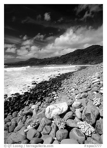 Coral heads on beach and dark hills, Tutuila Island. National Park of American Samoa (black and white)