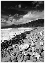 Coral heads on beach and dark hills, Tutuila Island. National Park of American Samoa (black and white)