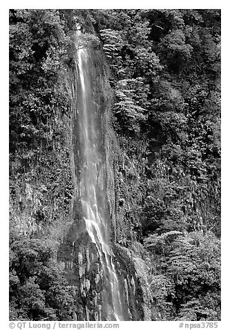 Ephemeral waterfall formed after the rain, Tutuila Island. National Park of American Samoa (black and white)