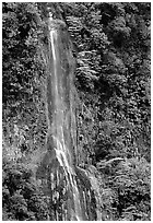 Ephemeral waterfall formed after the rain, Tutuila Island. National Park of American Samoa (black and white)