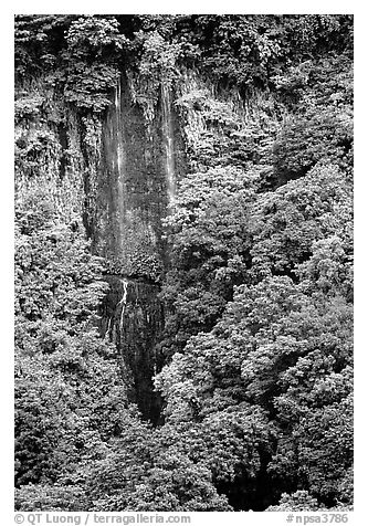 Ephemeral waterfall in Amalau Valley, Tutuila Island. National Park of American Samoa (black and white)