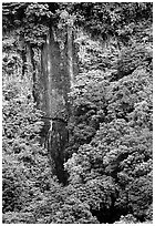Ephemeral waterfall in Amalau Valley, Tutuila Island. National Park of American Samoa (black and white)