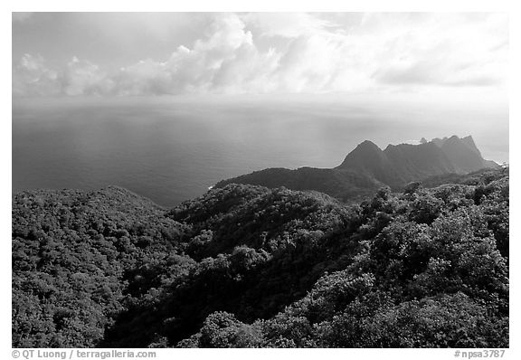 Tropical forest and Ocean from Mont Alava, Tutuila Island. National Park of American Samoa (black and white)